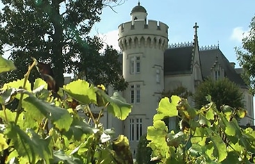 Château Pape Clément